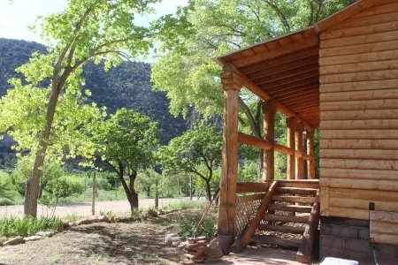 Vineyard views from our cozy Montezuma Cabin