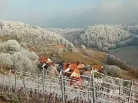 Apartment in the countryside