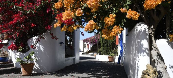 panoramic view  Vineyards 2 Bed+2bathrrooms Pool Heated Hotels in Acentejo
