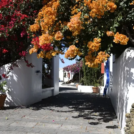 panoramic view  Vineyards 2 Bed+2bathrrooms Pool Heated