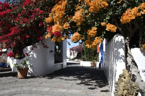 panoramic view  Vineyards 2 Bed+2bathrrooms Pool Heated
