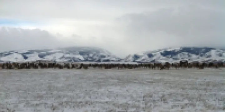 "Everything Is Top Cabin