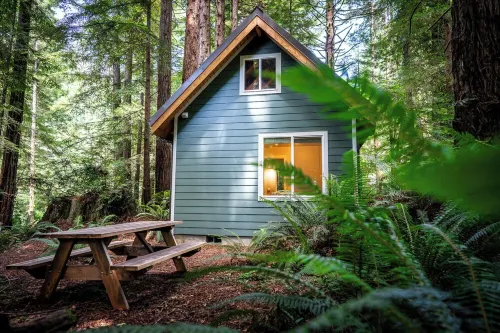 Secluded Cabin in Redwood Forest