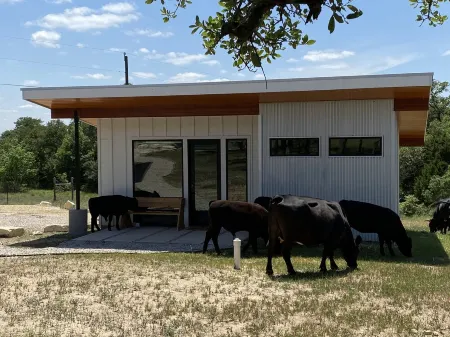 Cozy/Cute Tiny House close to wineries, wedding venues & outdoor fun Отели рядом с достопримечательностью «Ian's Chapel at Camp Lucy»