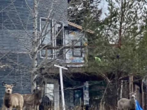 Grain Bin House in the Heart of Philipsburg Hotels in Granite County
