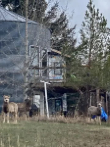 Grain Bin House in the Heart of Philipsburg Hotels in 