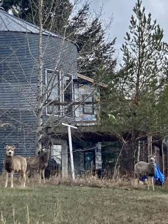 Grain Bin House in the Heart of Philipsburg
