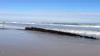 Enjoy Easy Access To The Ocean Less Than 100 Yards Away!!