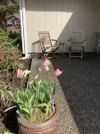 Seabeck/Bremerton 1 Bedroom all your own in furnished house; enjoy trails/lakes.