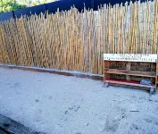 Cette "vie-là" Dans les Alpilles