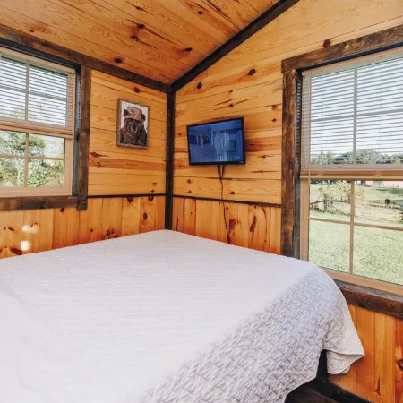 Tiny Cabin At The Pond