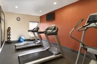 希爾頓歡朋飯店-巴特爾克里克 - 健身房