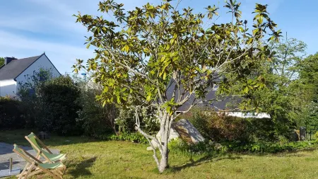 Joli Cottage en Pierres Debouts Dans un Beau Jardin Fleuri Proche Plage Отели в г. Неве