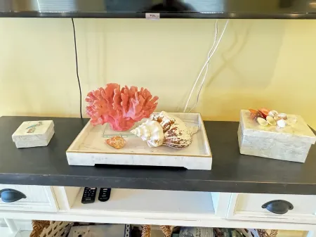 TURTLE COVE: Beachside/Ocean View/Direct Beach Access/Sleeps 8/ Pet Friendly