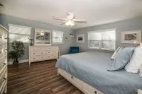 Classy & Clean Pet Friendly Hotels near Clearwater,Fl- St. Petersburg (STP)