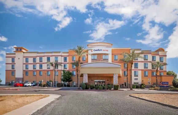 格蘭岱爾州立農場體育場區舒適套房酒店