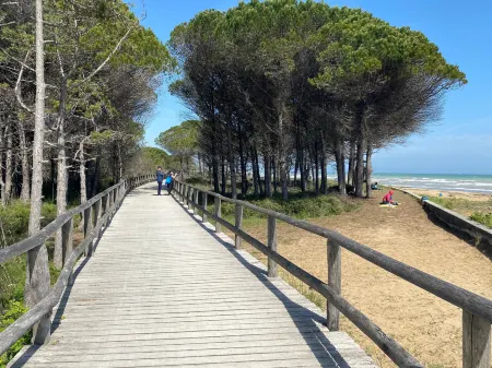 Modern Flat with Big Swimming Pool and Balcony