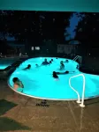 Condo #18 at Kentucky Lake's Lynnhurst Family Resort - Pool