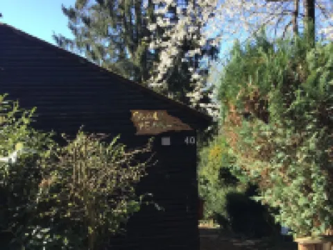 Black Pearl of Paradise im Bergischen Land vor den Toren Kölns Hotels in Overath