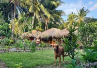 사메 사메 방갈로 에코 로지