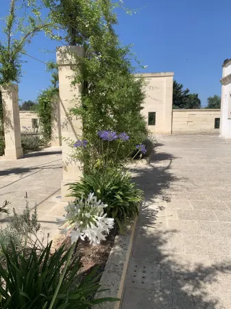 BioAgriturismo Messer Gesualdo Отели в г. Diso