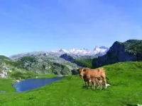 Self catering La Corte del Rondiellu for 8 people