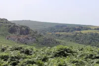 The Rock Inn فنادق في نيوتون أبوت
