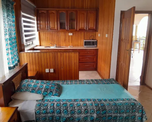 Villa Sankofa Hotels in Ejisu