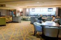 米德蘭廣場希爾頓逸林酒店 - 酒吧
