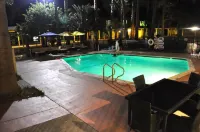 Prodigy Hotel, a Days Inn by Wyndham - Pools