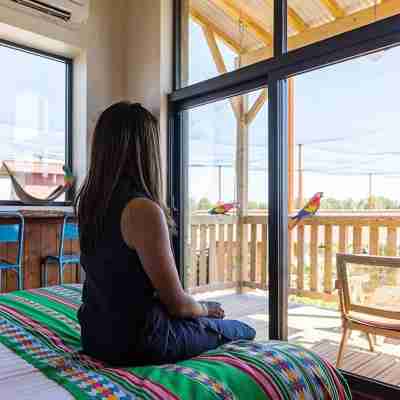 Les Lodges - Parrot World Rooms