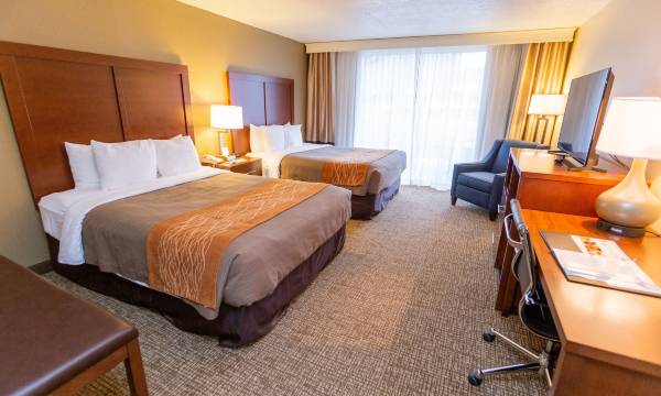 Comfort Inn Downtown
