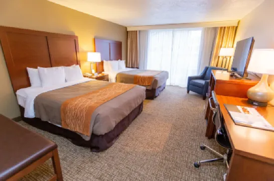 市中心舒適酒店 鄰近家譜圖書館的酒店