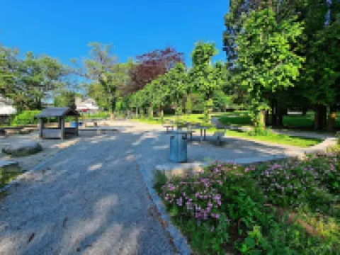 Staysville - Eiganes