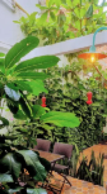 Casa Sab - San Fernando酒店