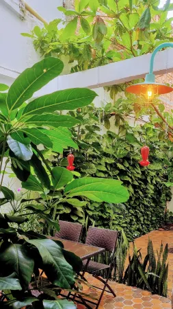 Hotel Casa Sab - San Fernando Отели рядом с достопримечательностью «Cali Zoo»