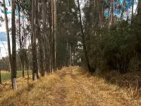 Hacienda Cochauco Hôtels à : Distrito Metropolitano de Quito