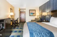 Comfort Inn & Suites Hotels in Wallingford