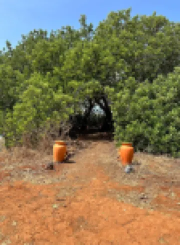 Michas caravan for 2 See the herd of horses from your bed