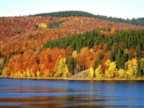 Detached Holiday Residence in the Wonderfully Beautiful Harz Hotels in Osterode am Harz