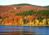 フェリエンヴォーヌング イン カムシュラッケン