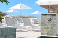 Barefoot Beach Club Hotels in Madeira Beach