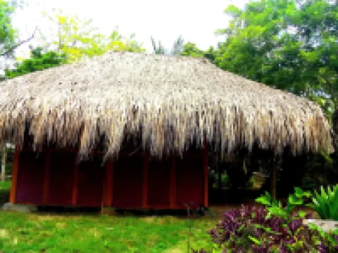 Eco Hotel Las Palmeras Hotels in Cartagena