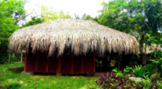 Eco Hotel Las Palmeras Hotels near Rosario Islands