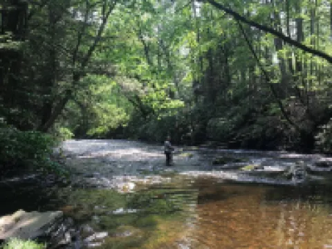 Countryside Cottages Hoteles en Bartonsville