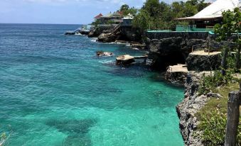 Dela De-Rose Guest House Negril Jamaica