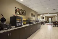 Microtel Inn & Suites by Wyndham Carrollton Hotel a Minerva