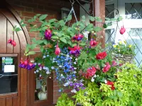 Trumbles Gatwick B&B Hotels in Mole Valley