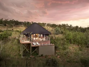 Mhondoro Safari Lodge & Villa