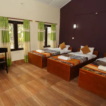 Sauraha Resort
